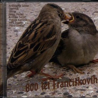 800 let Frančiškovih
